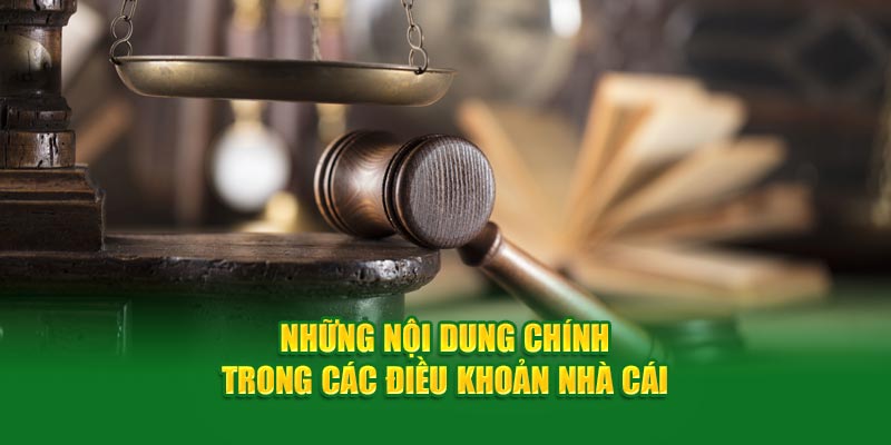 Nội dung chi tiết về các điều khoản dịch vụ của nhà cái